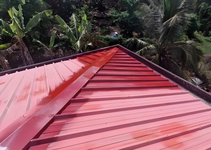 Un toit rénové pour une maison protégée et esthétique